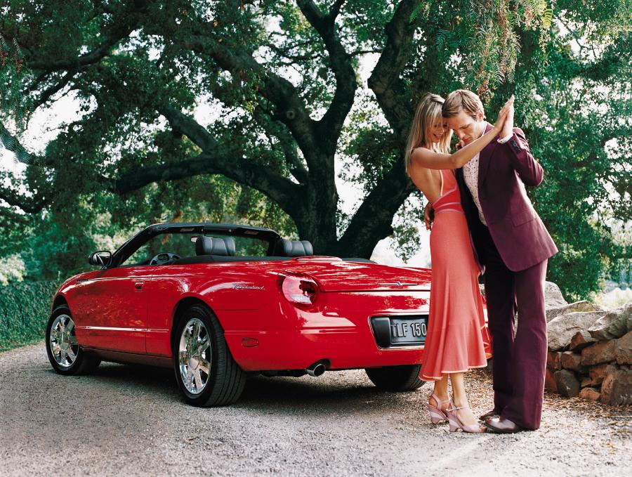  Ford Thunderbird 2002 года  (фото 19 из 161)